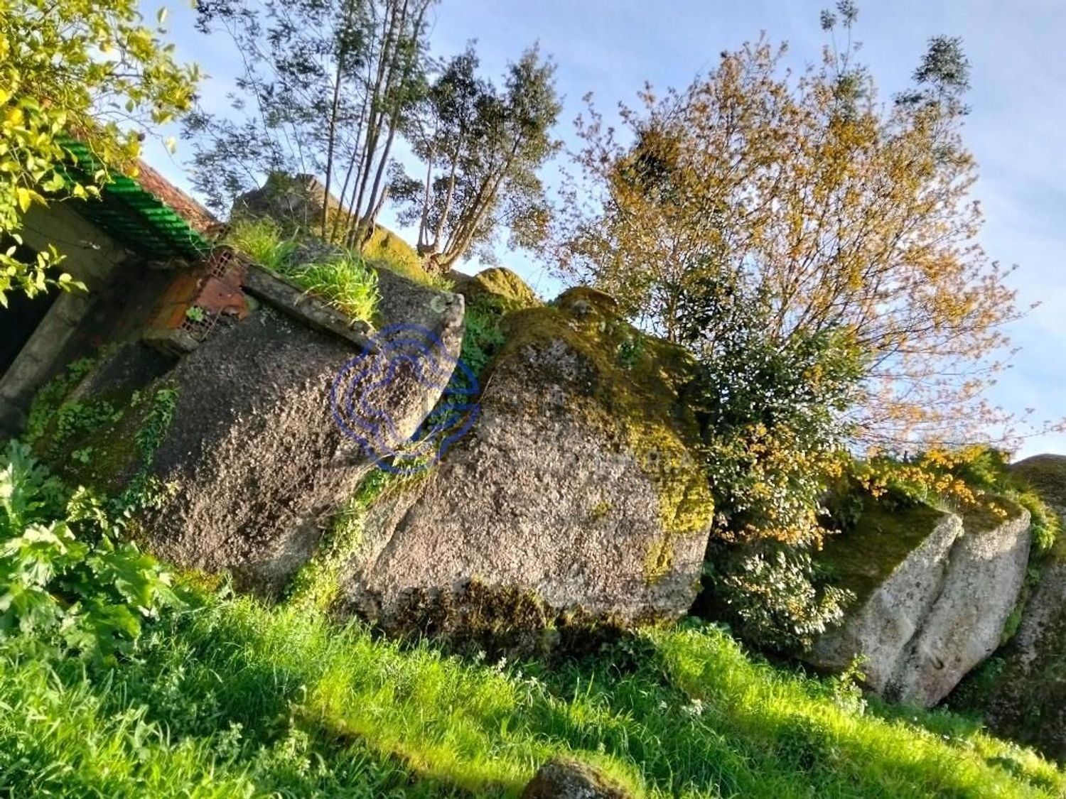 农庄出售在Rua Bocas, 314 - 花园