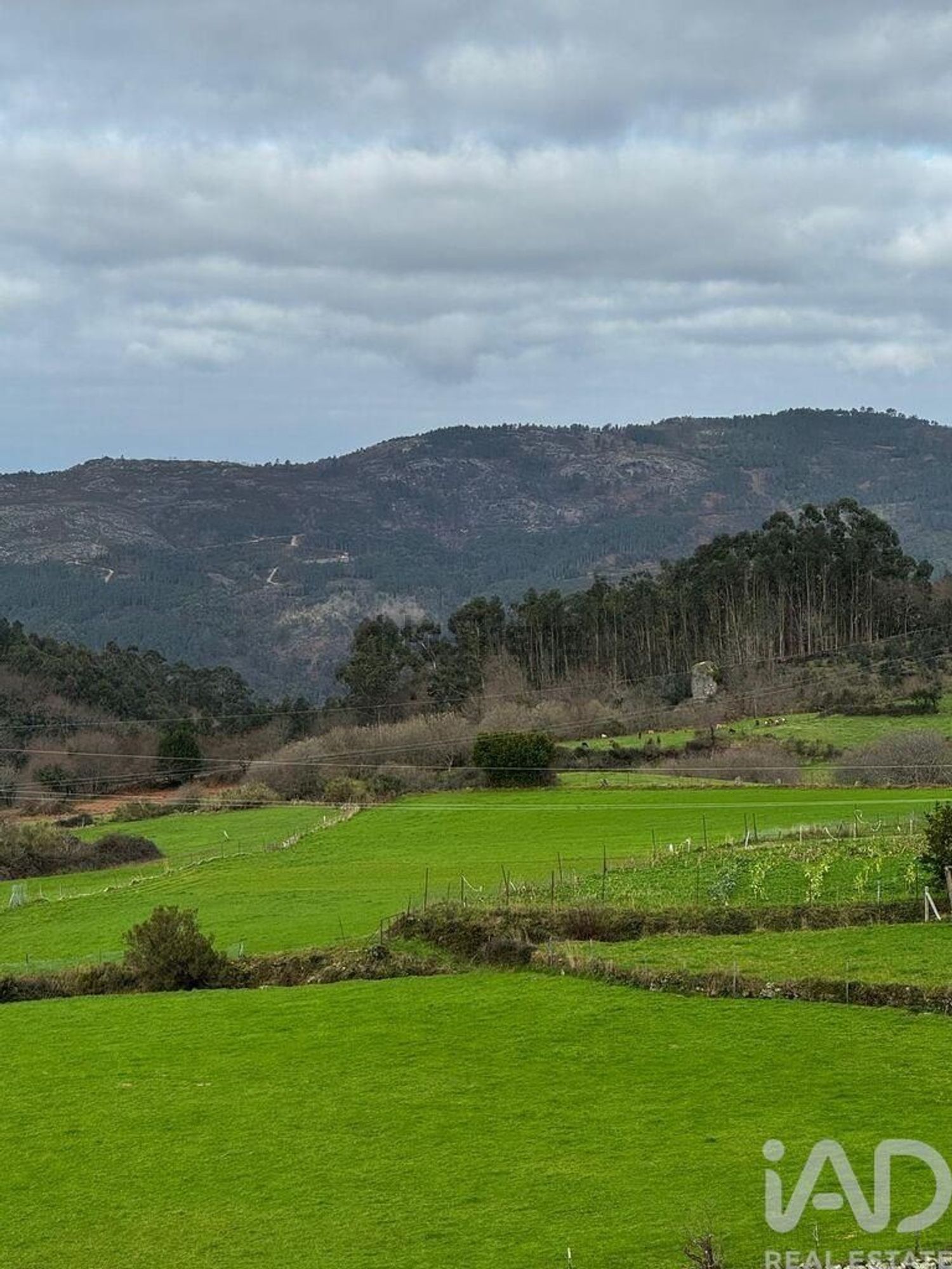 小楼房或别墅出售在 Labrujó - Rendufe - Vilar do Monte - 视线
