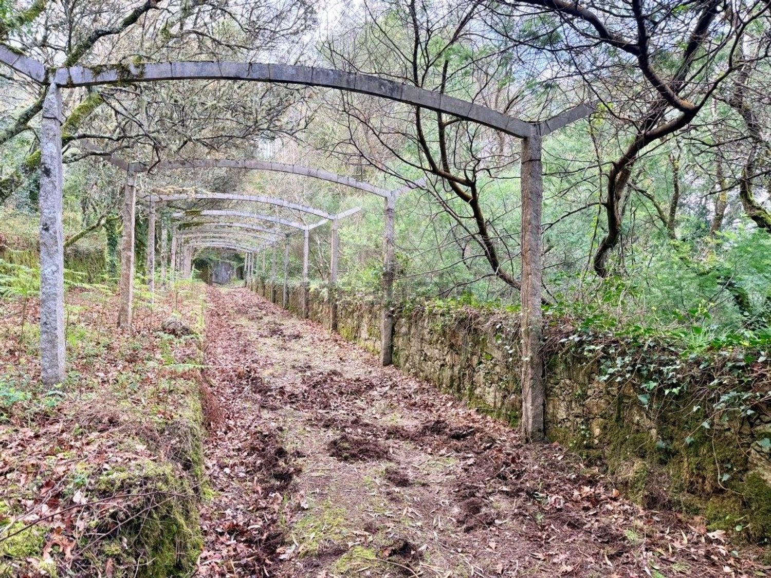 庄园出售在 Âncora - 花园