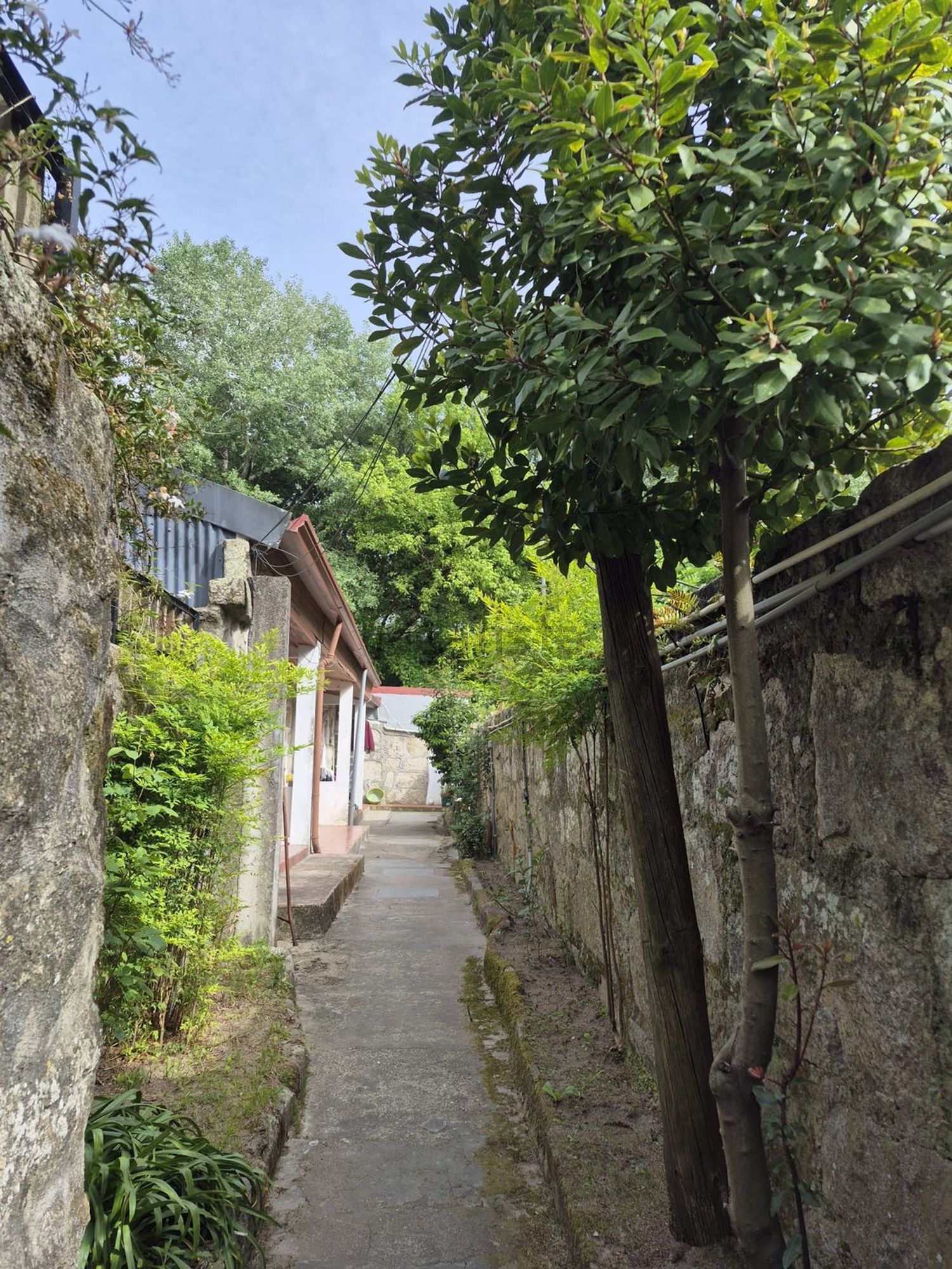 出租t0（单人公寓）在Rua da Igreja de Paranhos, 164 - 花园
