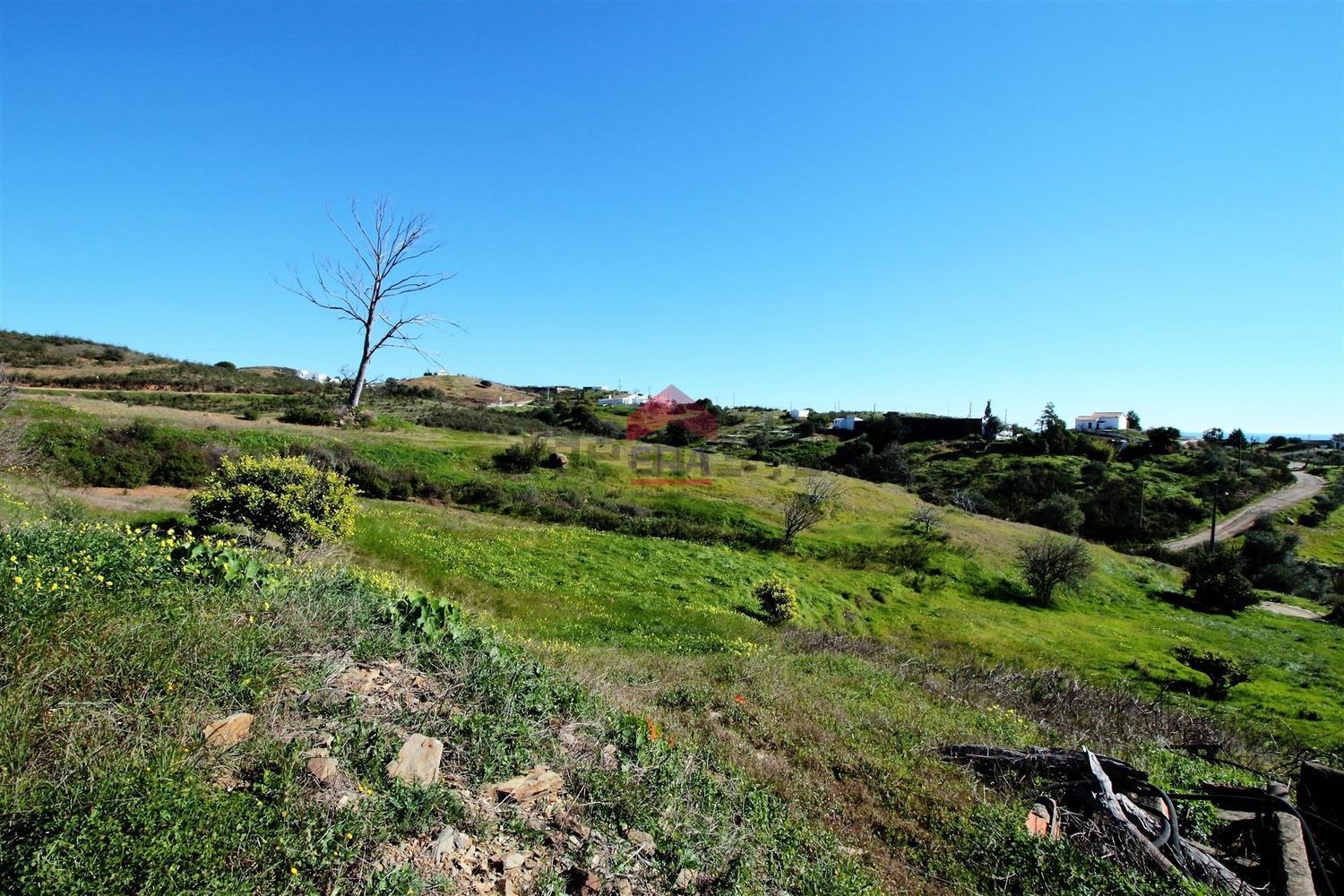 小楼房或独栋别墅出售在 Conceição e Cabanas de Tavira - 花园