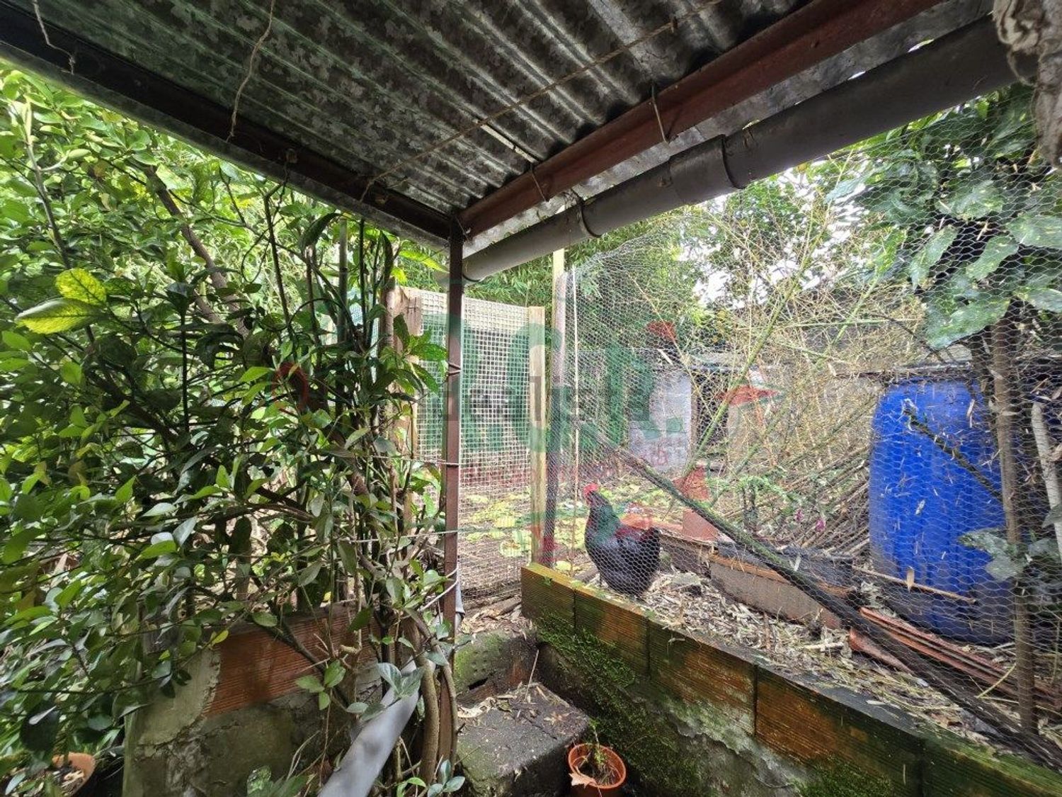 小楼房出售在 Centro de Gondomar - 花园