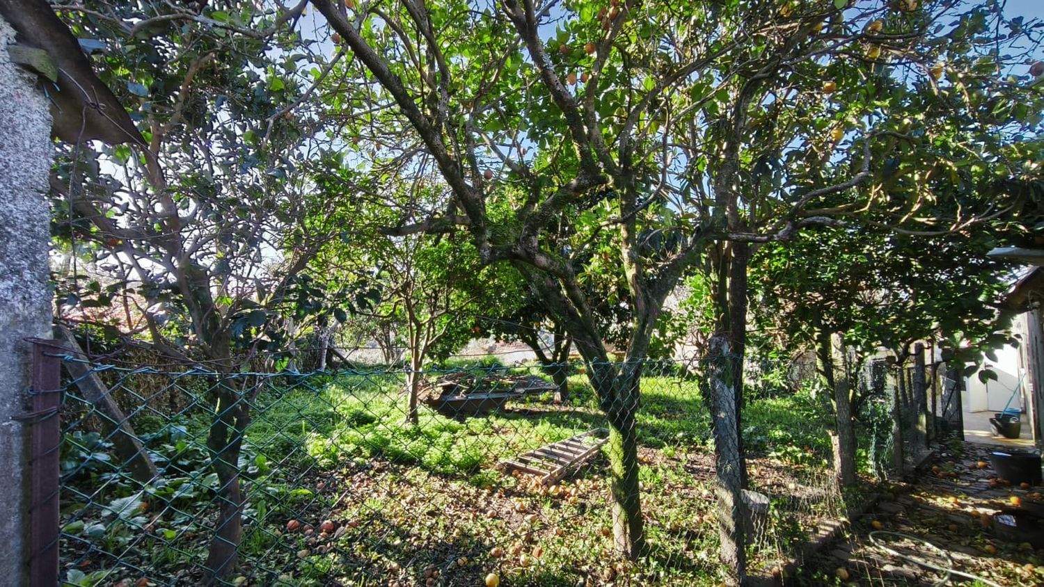 小楼房或独栋别墅出售在 Santa Marta de Portuzelo - 花园
