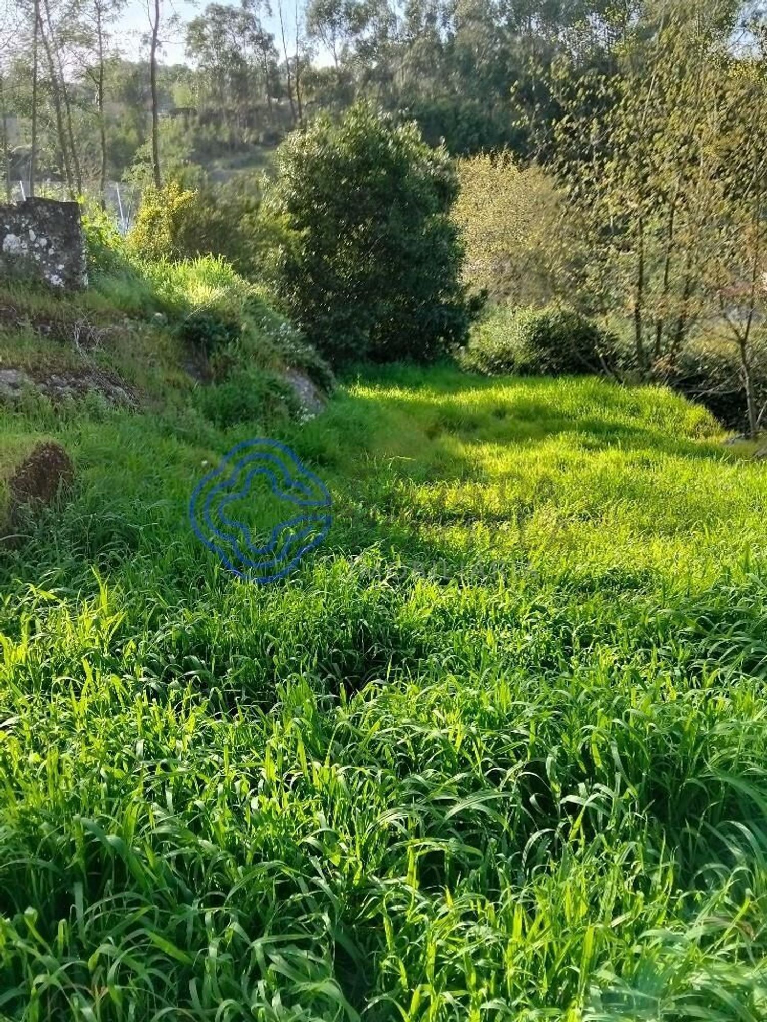 农庄出售在Rua Bocas, 314 - 花园