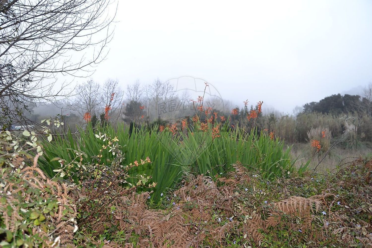 小楼房或独栋别墅出售在Rua Aldeia Sanfins, 26 - 花园