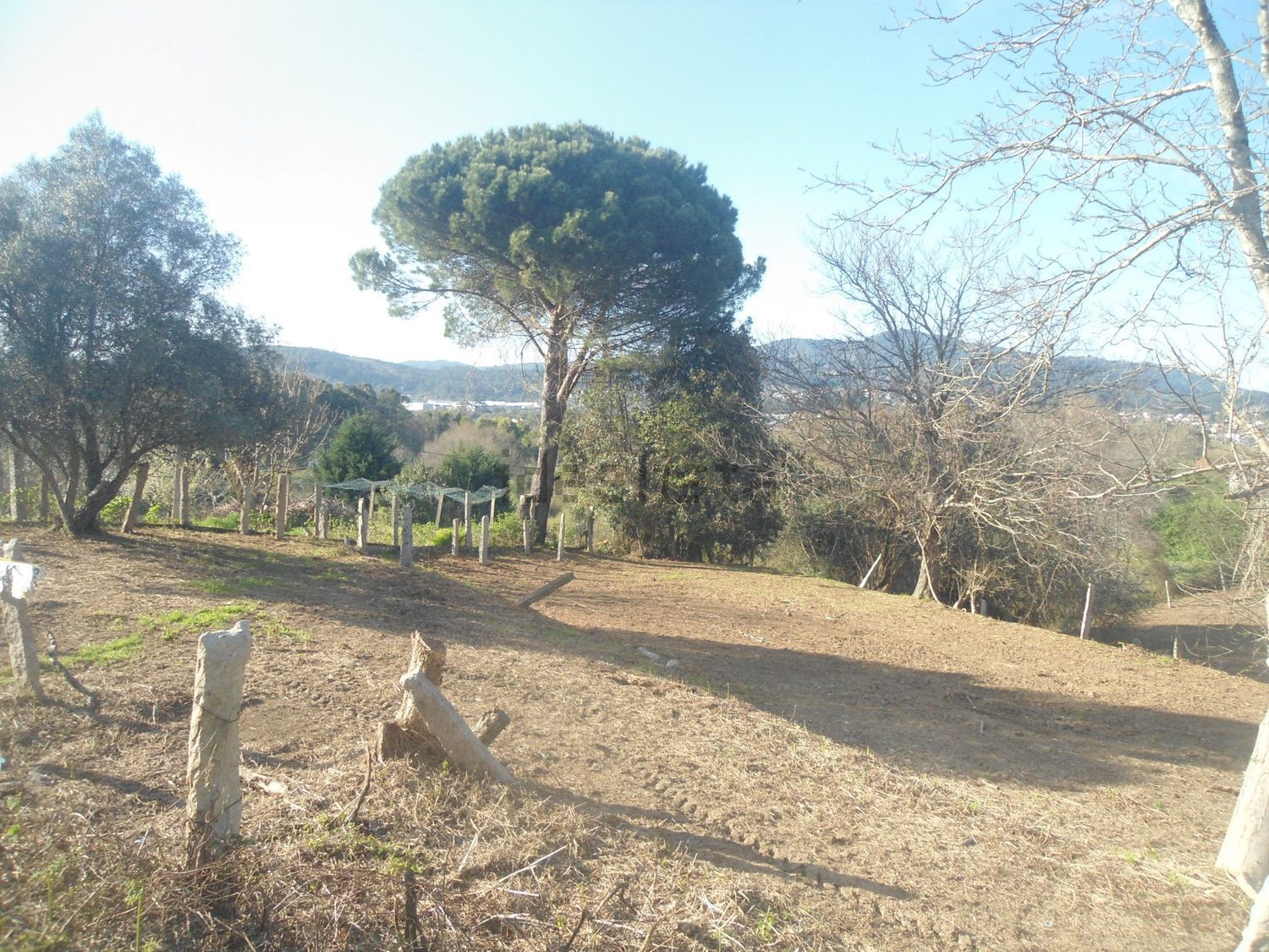 庄园出售在 Valença - Cristelo Covo - Arão - 花园