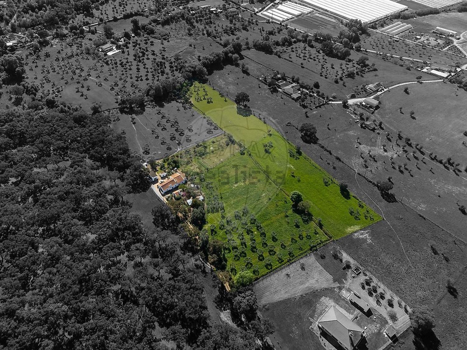 庄园出售在 Fazenda Da Chupeta, 7050-001, Nossa Senhora da Vila, Nossa Senhora do Bispo e Silveiras, Montemor-o-Novo, Évora s/n - 照片