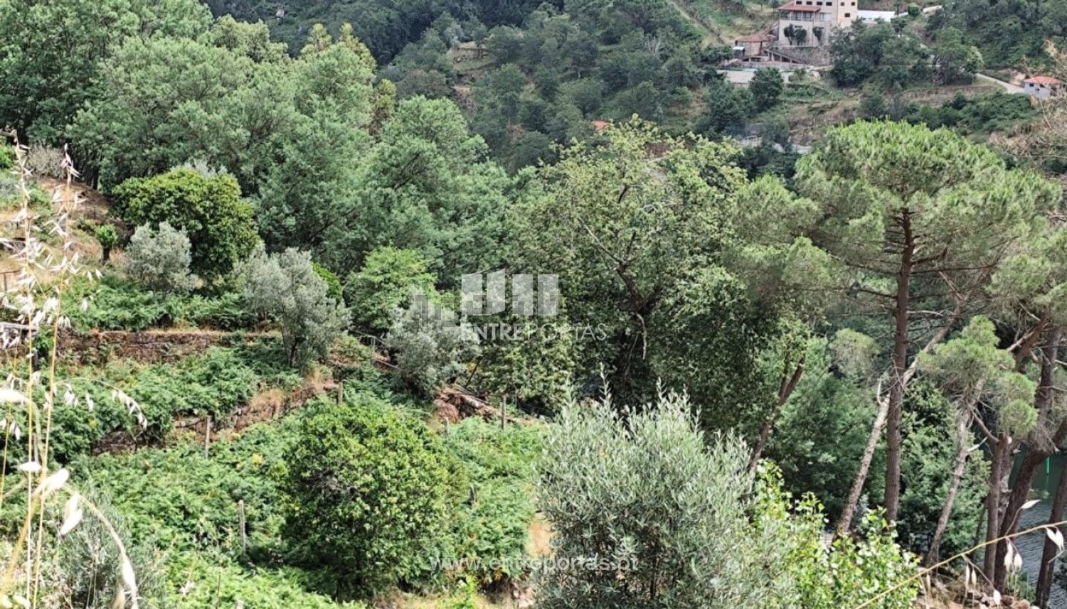 乡间楼房出售在 Sande e São Lourenço - 花园