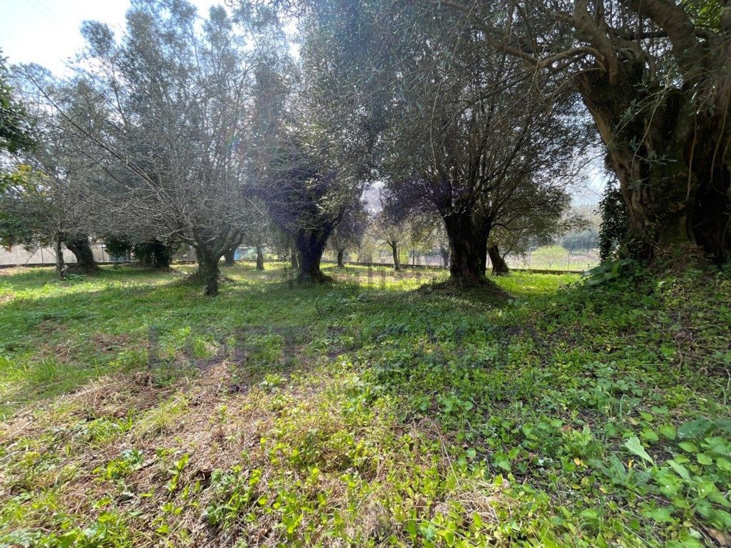 小楼房或独栋别墅出售在Caminho do Abrigueiro, 276 - 花园