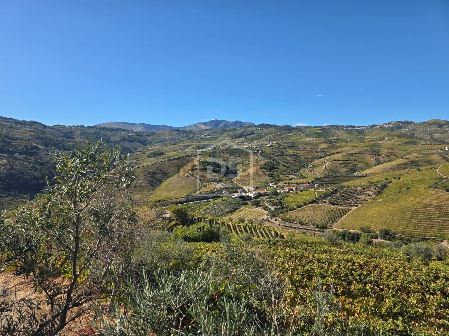 庄园出售在 São Miguel - 土地