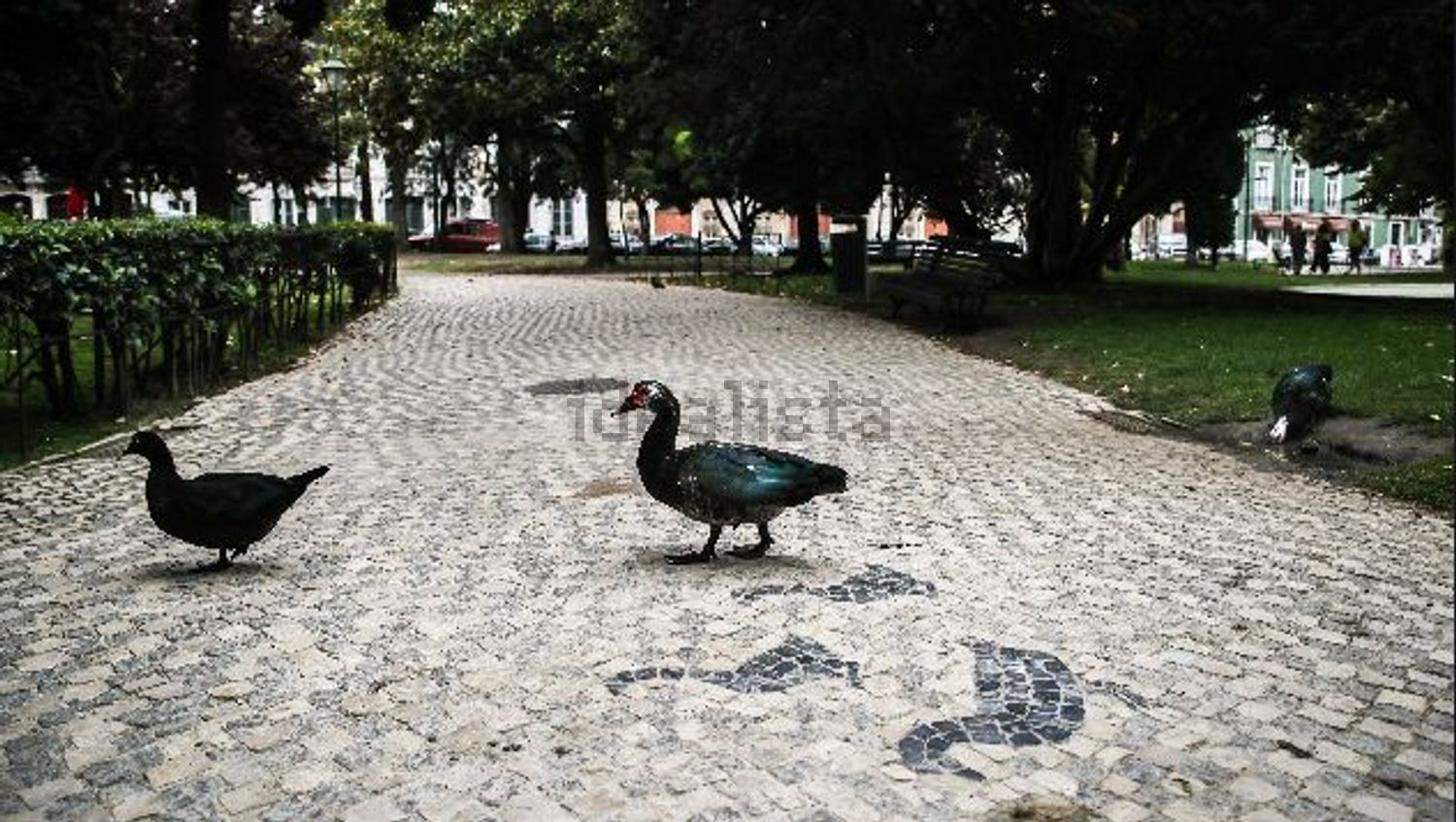出租公寓 t2在Rua de Martim Vaz, 60 - 周边