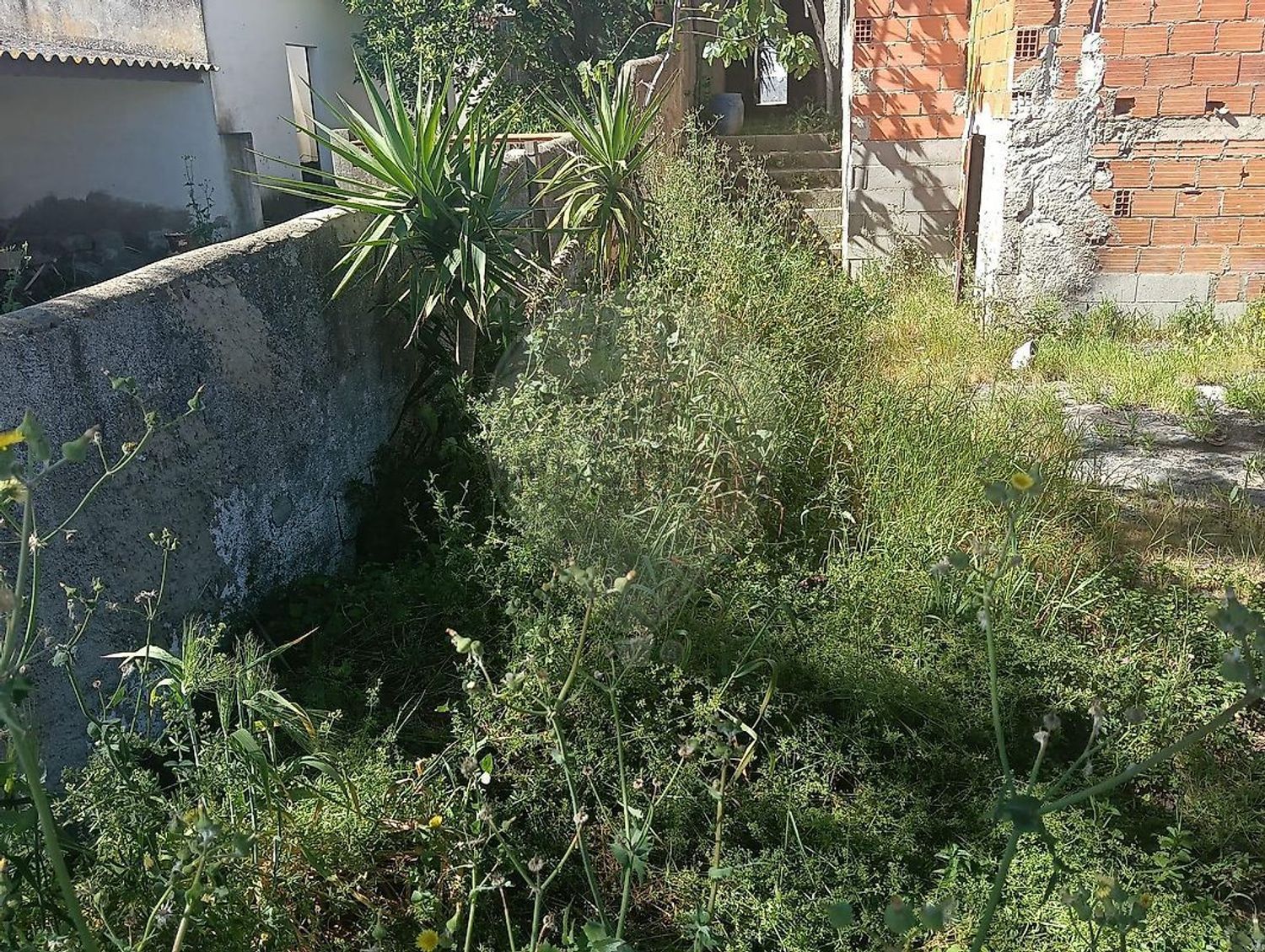 小楼房或独栋别墅出售在Rua de São José - 花园