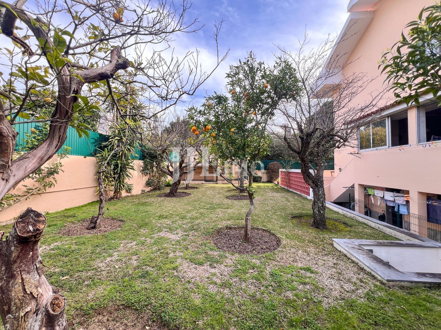 小楼房或独栋别墅出售在Rua da Quinta das Palmeiras - 花园