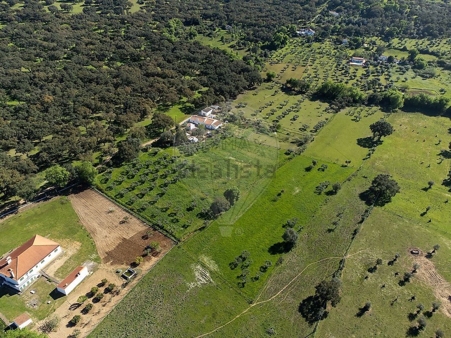 庄园出售在 Fazenda Da Chupeta, 7050-001, Nossa Senhora da Vila, Nossa Senhora do Bispo e Silveiras, Montemor-o-Novo, Évora s/n - 视线