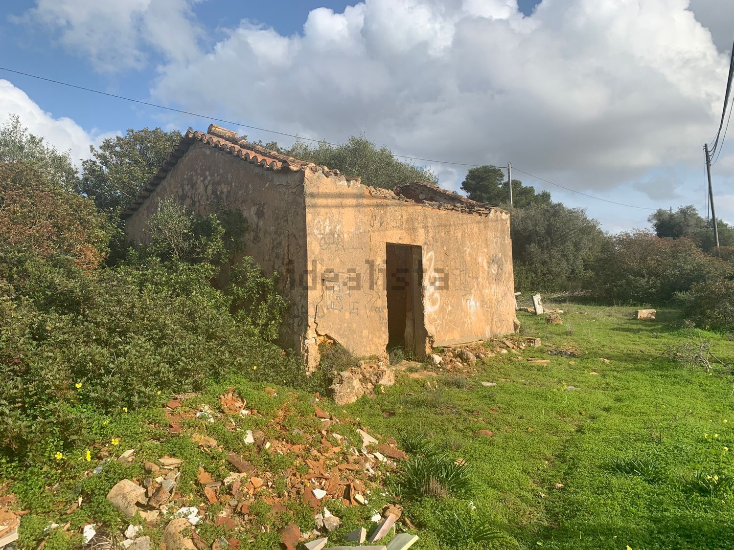 庄园出售在Estrada das Alagoas s/n - 露台
