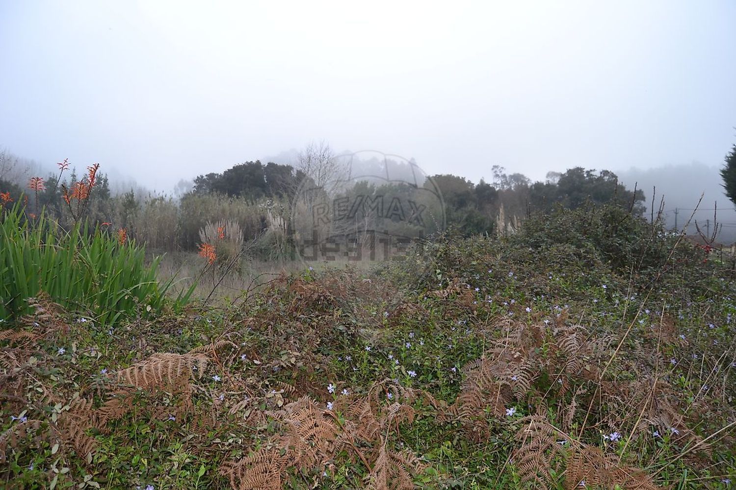 小楼房或独栋别墅出售在Rua Aldeia Sanfins, 26 - 花园