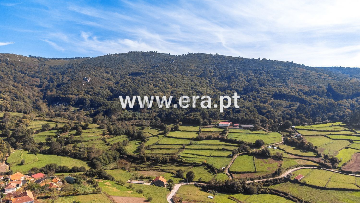 小楼房或独栋别墅出售在Rua dos Carvalhinhos - 视线