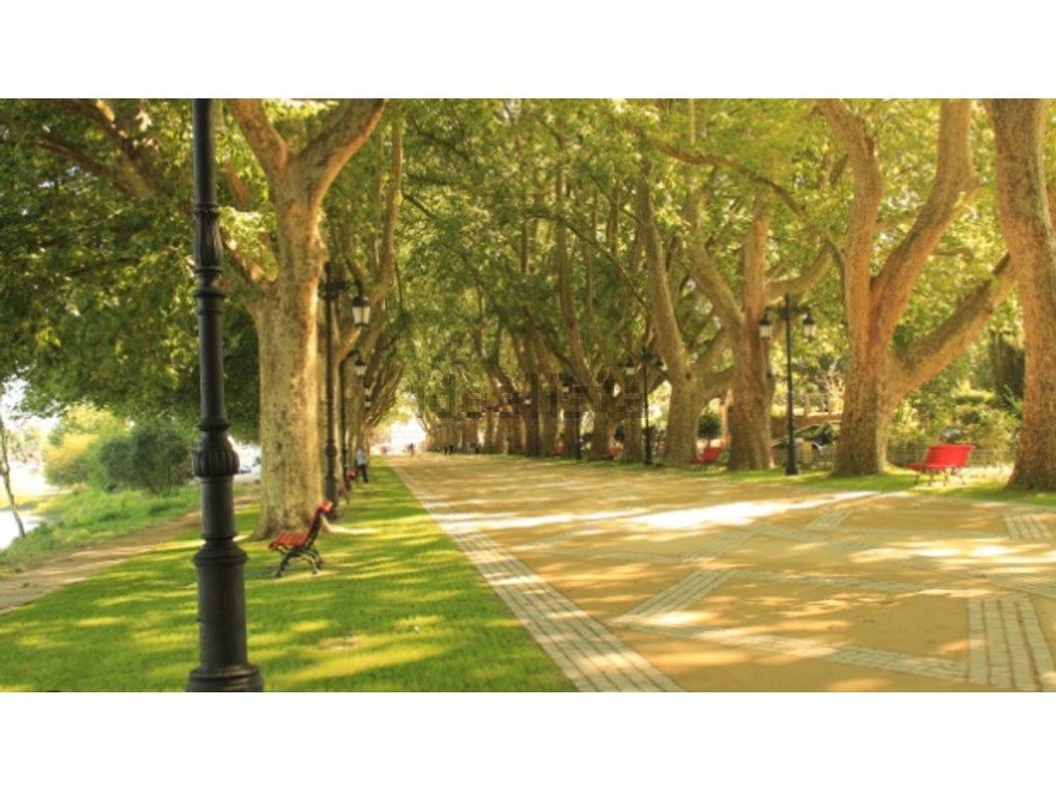 小楼房或独栋别墅出售在Rua da Capela do Bom Jesus - 花园