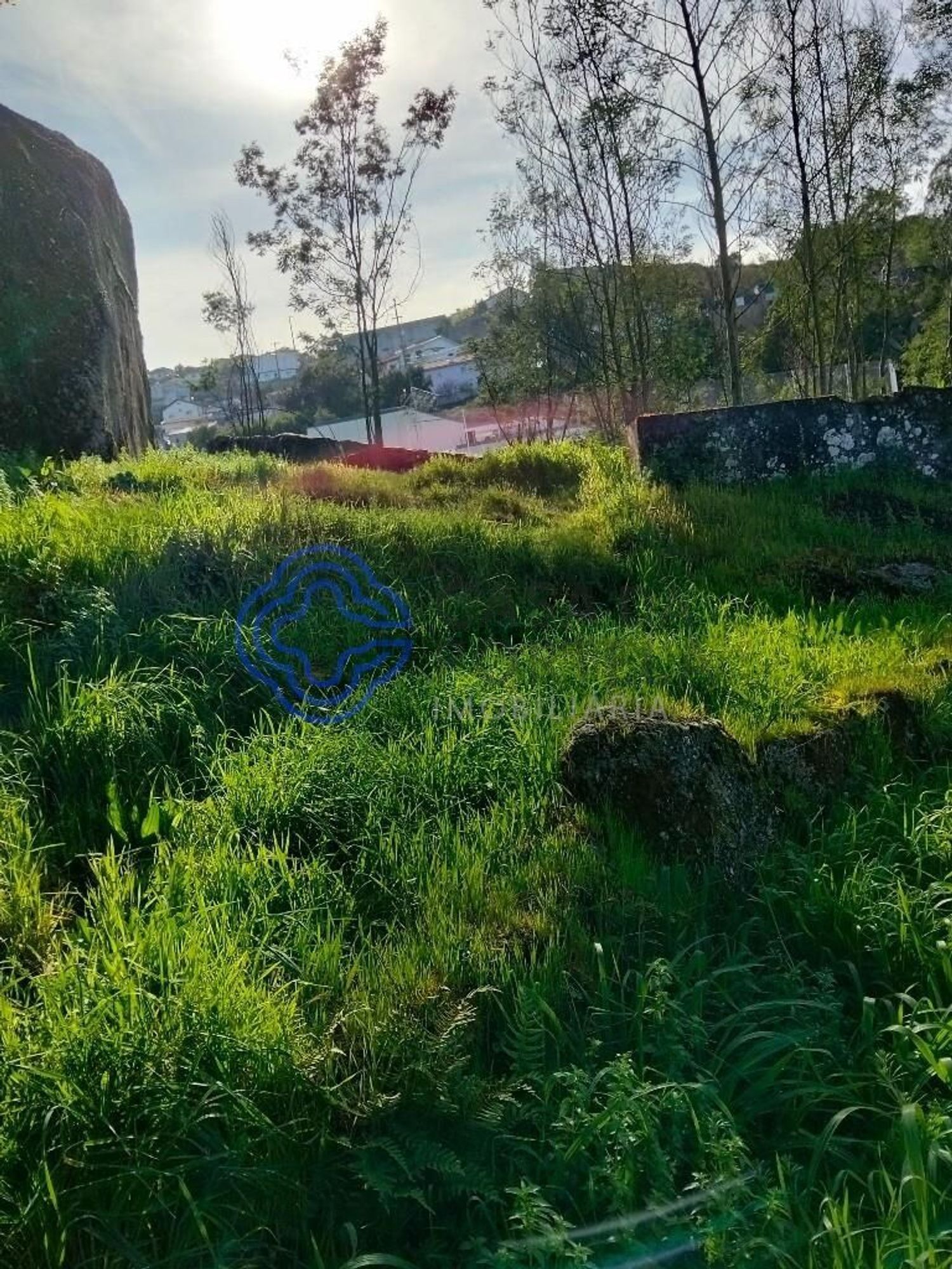 农庄出售在Rua Bocas, 314 - 花园