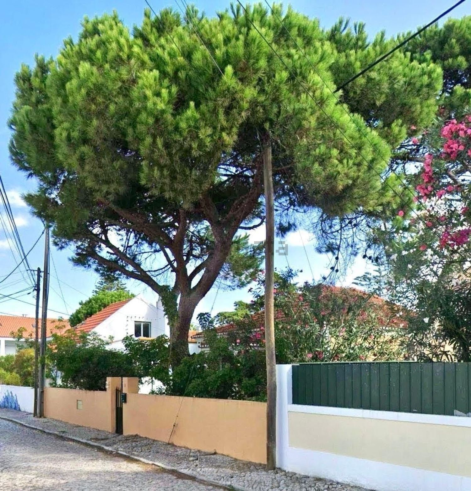 小楼房或独栋别墅出售在Rua dos Ílhavos, 8 - 照片