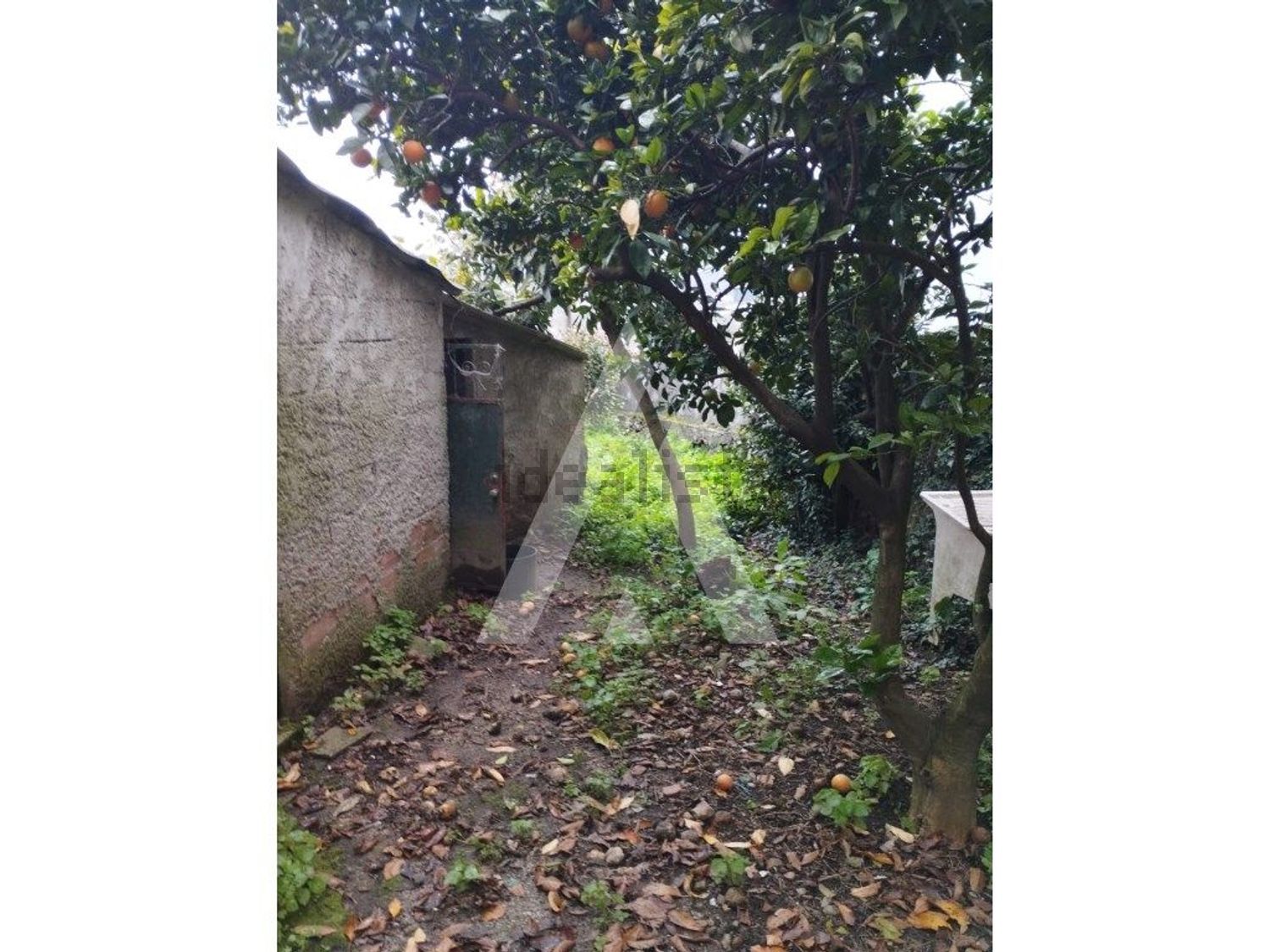 农庄出售在 Santa Marta de Portuzelo - 花园
