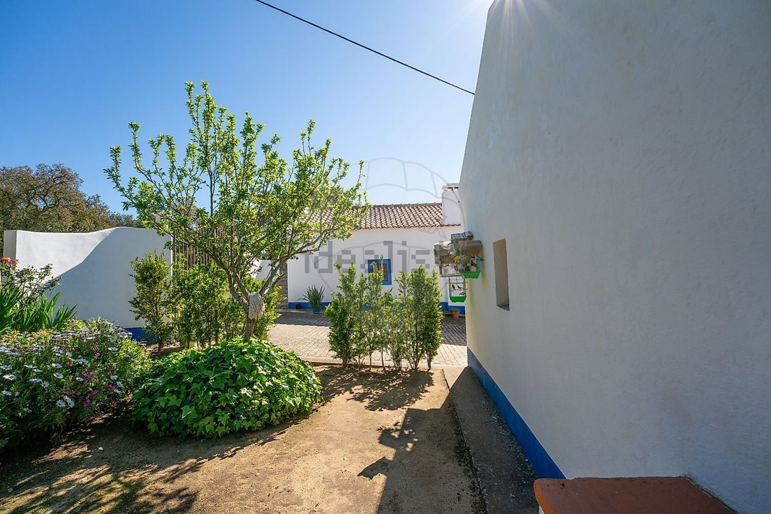 庄园出售在 Fazenda Da Chupeta, 7050-001, Nossa Senhora da Vila, Nossa Senhora do Bispo e Silveiras, Montemor-o-Novo, Évora s/n - 外立面