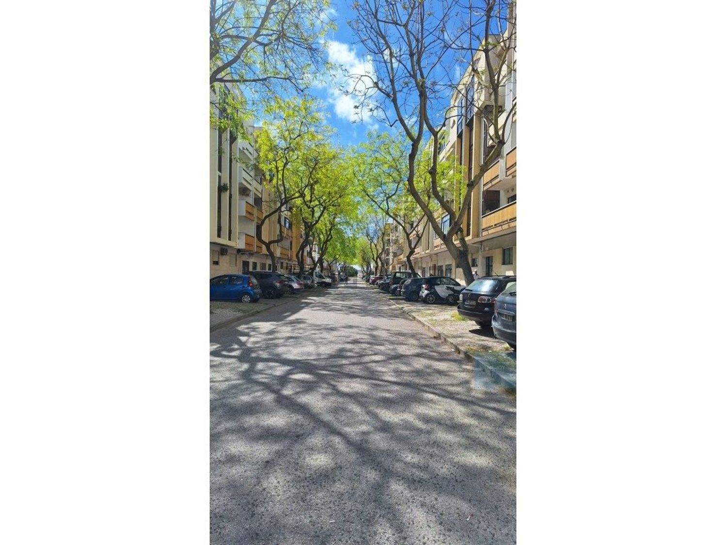 公寓 t2出售在Rua Manuel Silvestre da Costa, 5 b - 花园