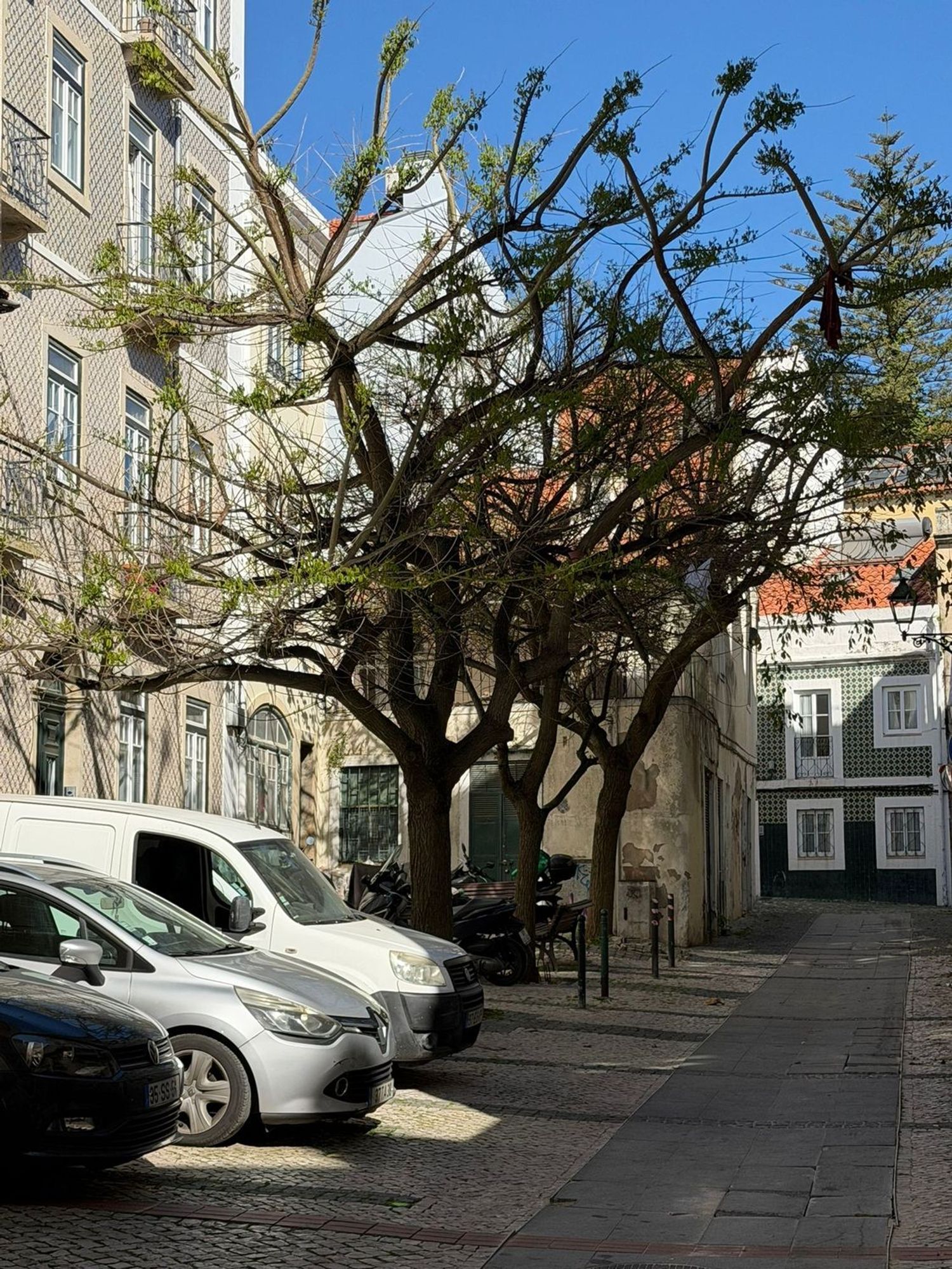 出租公寓 t2在Travessa de São Bernardino, 19 - 视线