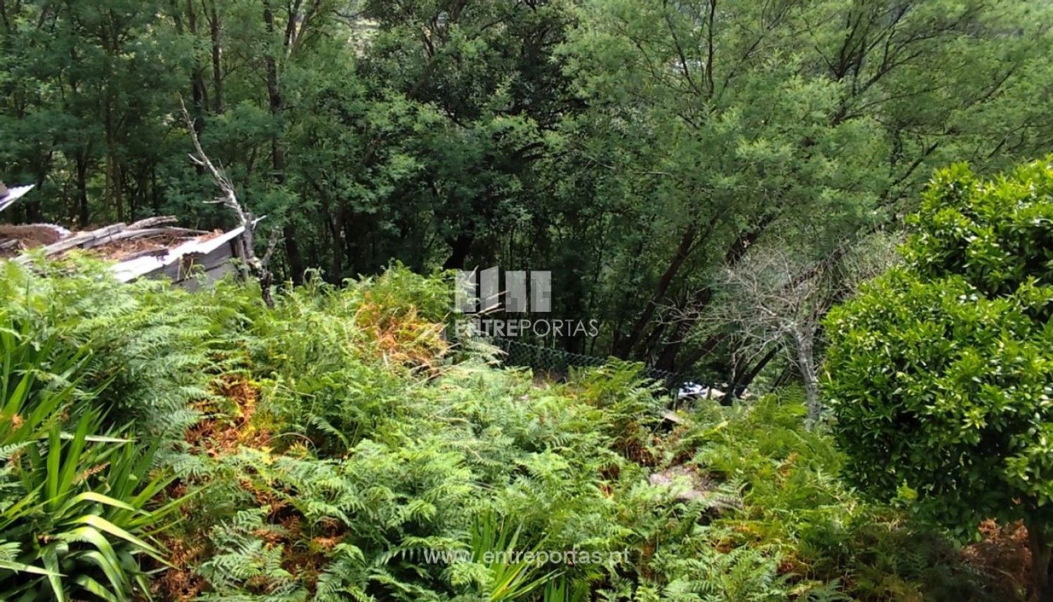 乡间楼房出售在 Sande e São Lourenço - 花园