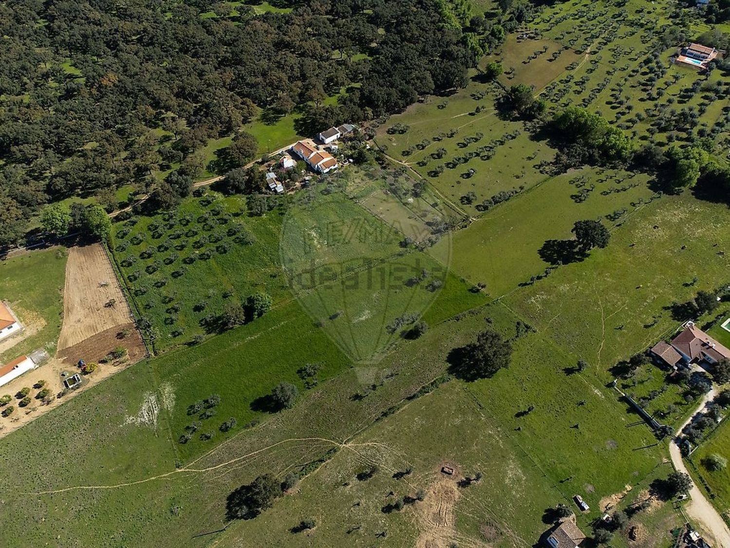 庄园出售在 Fazenda Da Chupeta, 7050-001, Nossa Senhora da Vila, Nossa Senhora do Bispo e Silveiras, Montemor-o-Novo, Évora s/n - 视线
