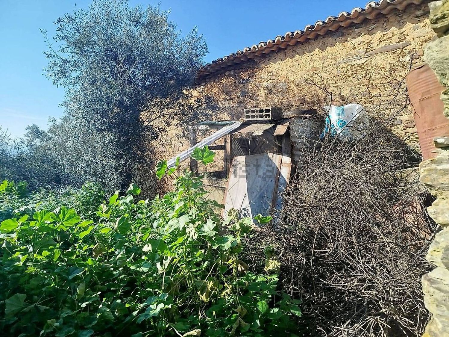 小楼房或独栋别墅出售在 Malpica do Tejo - 外立面