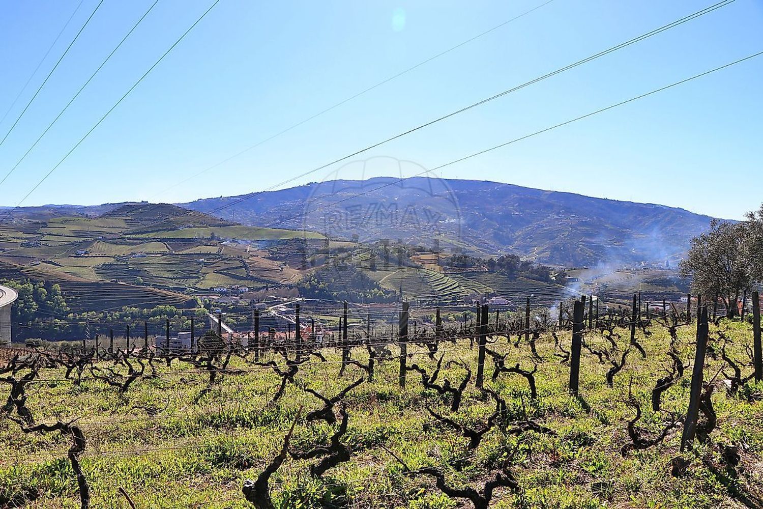 庄园出售在Avenida Diocese de Vila Real - 视线