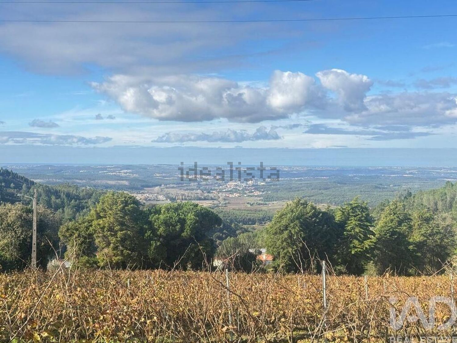 小楼房或别墅出售在 Maxial e Monte Redondo - 视线
