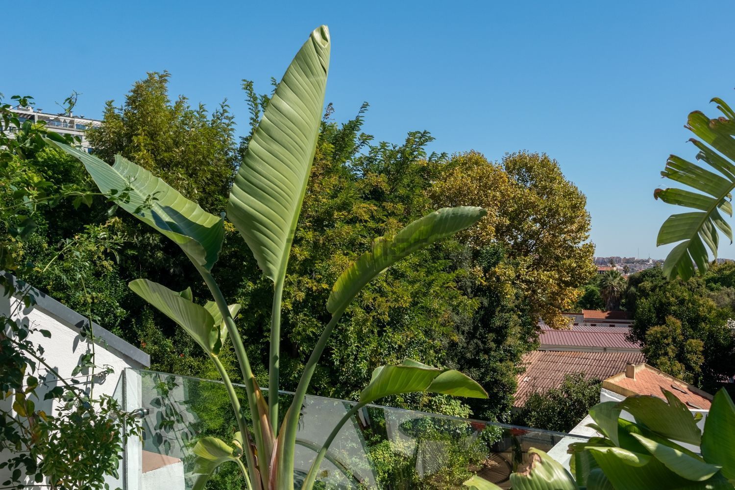 小楼房或独栋别墅出售在Rua Silva Carvalho, 204 - 阳台