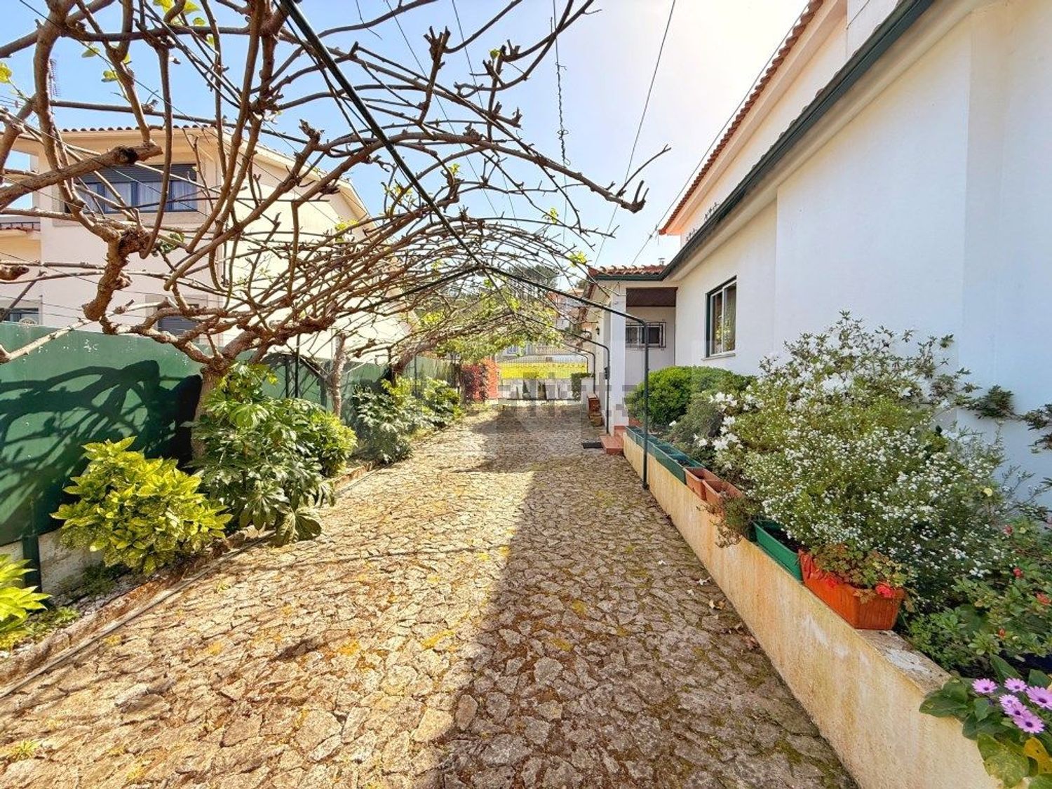 小楼房或独栋别墅出售在Rua da Rocha - 外立面