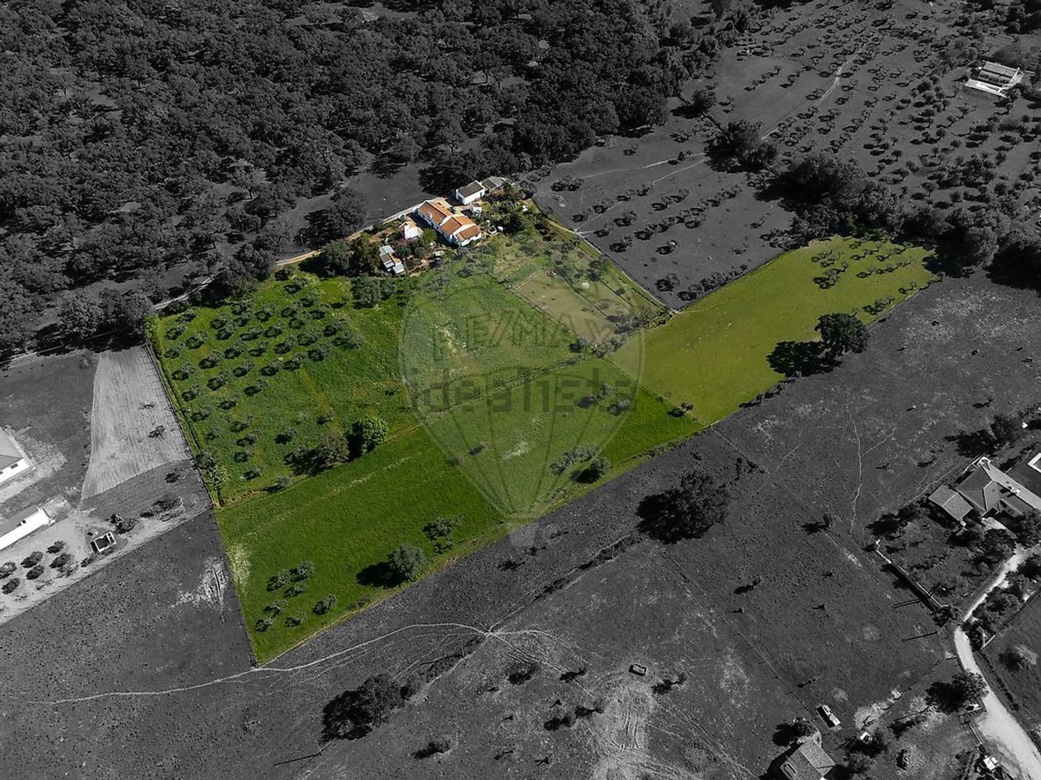 庄园出售在 Fazenda Da Chupeta, 7050-001, Nossa Senhora da Vila, Nossa Senhora do Bispo e Silveiras, Montemor-o-Novo, Évora s/n - 照片