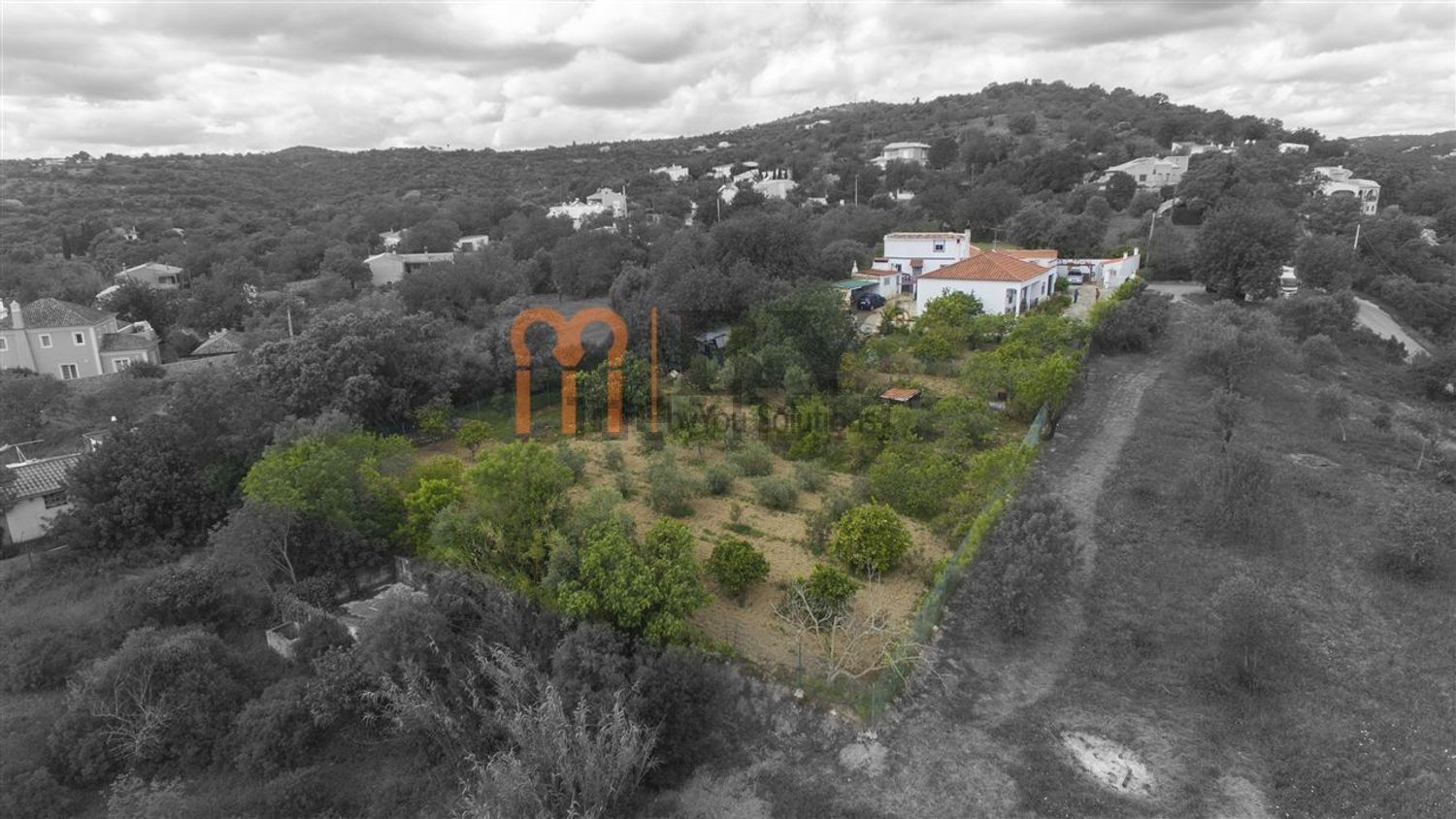 庄园出售在 Machados - 视线