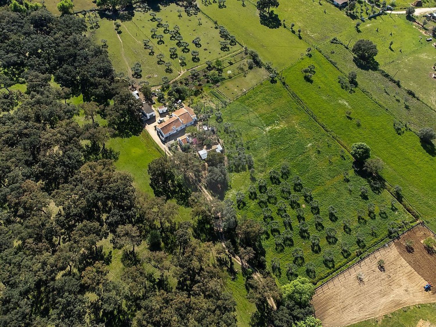 庄园出售在 Fazenda Da Chupeta, 7050-001, Nossa Senhora da Vila, Nossa Senhora do Bispo e Silveiras, Montemor-o-Novo, Évora s/n - 照片