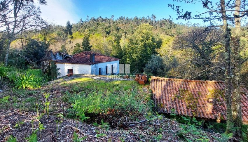 乡间楼房出售在 Nogueira - Meixedo - Vilar de Murteda
