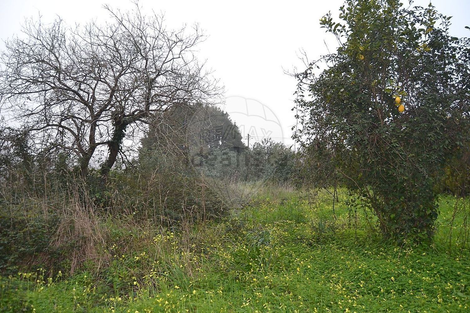 小楼房或独栋别墅出售在Rua Aldeia Sanfins, 26 - 花园