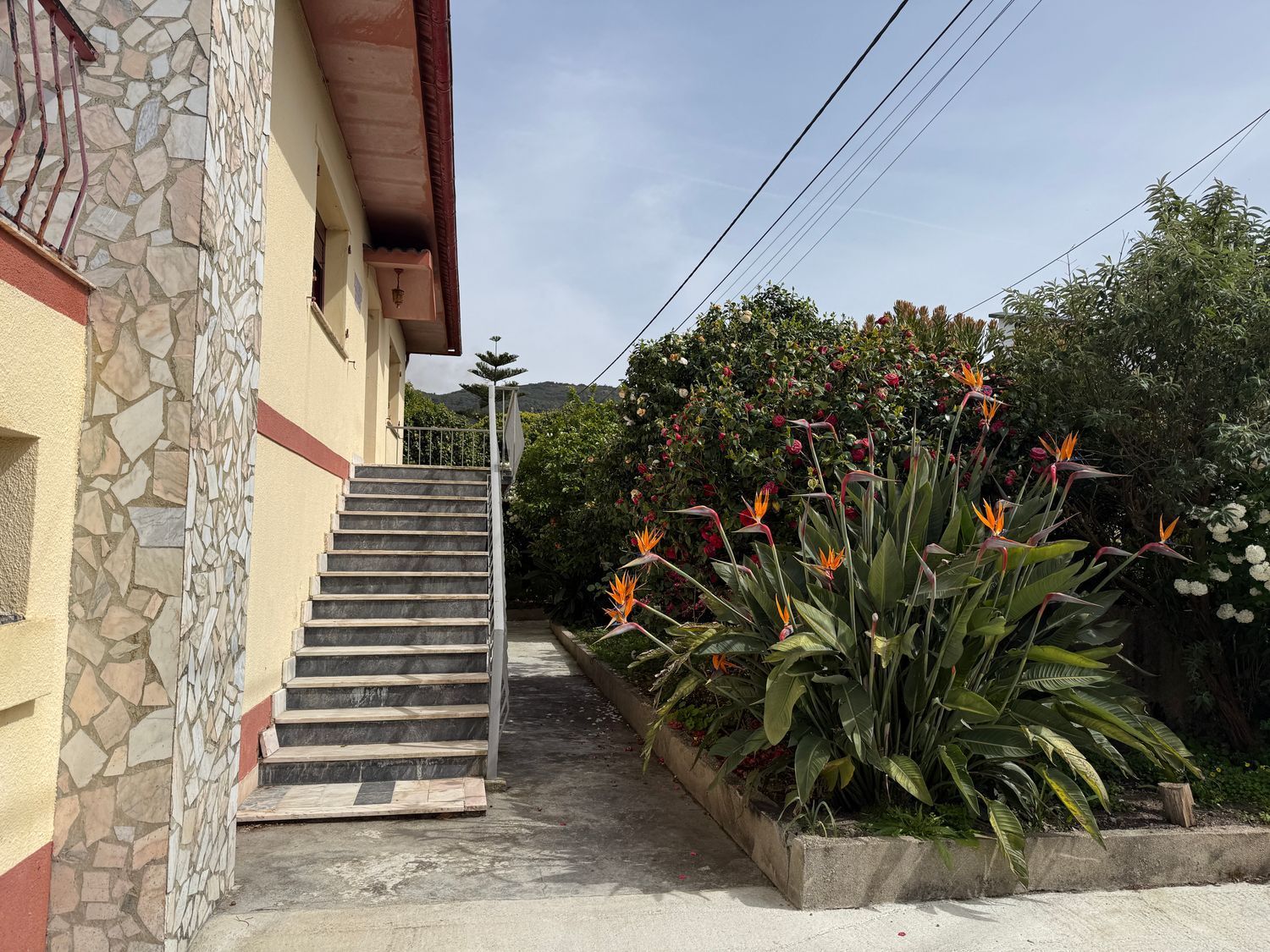 小楼房或独栋别墅出售在Avenida da Senhora ao Pé-da-Cruz s/n - 外立面