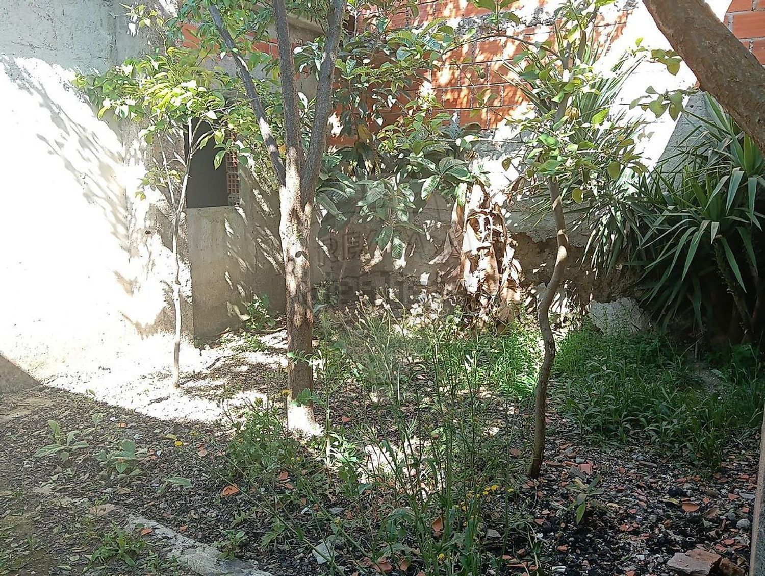 小楼房或独栋别墅出售在Rua de São José - 花园