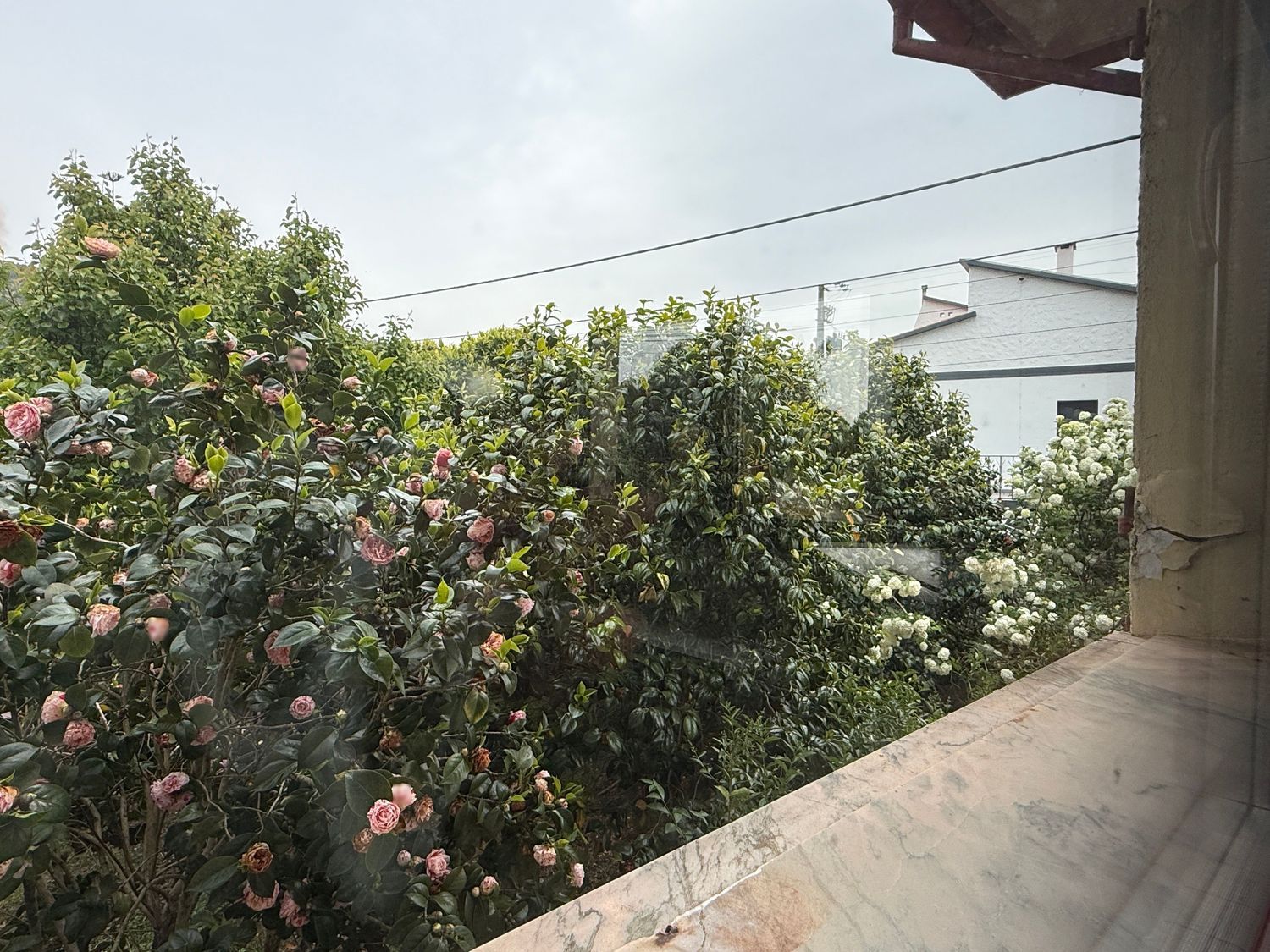 小楼房或独栋别墅出售在Avenida da Senhora ao Pé-da-Cruz s/n - 花园
