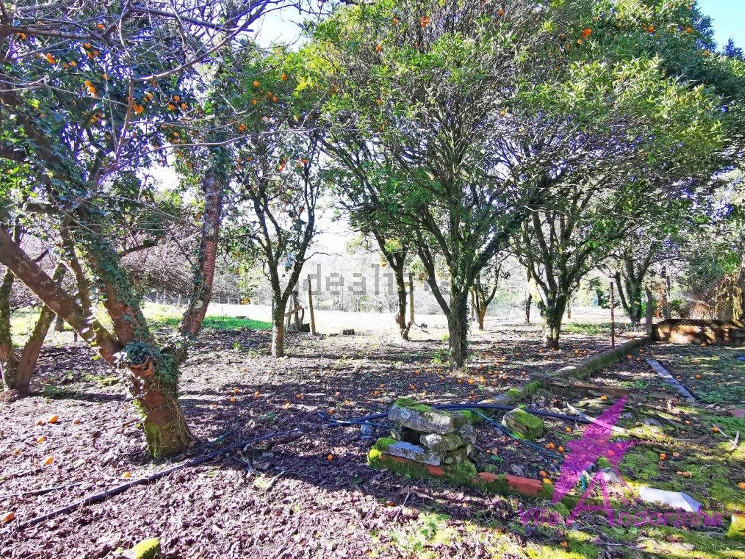 小楼房或独栋别墅出售在 Riba de Âncora - 花园