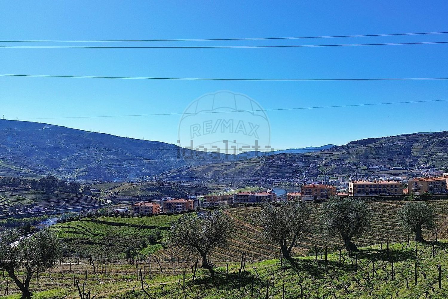 庄园出售在Avenida Diocese de Vila Real - 视线