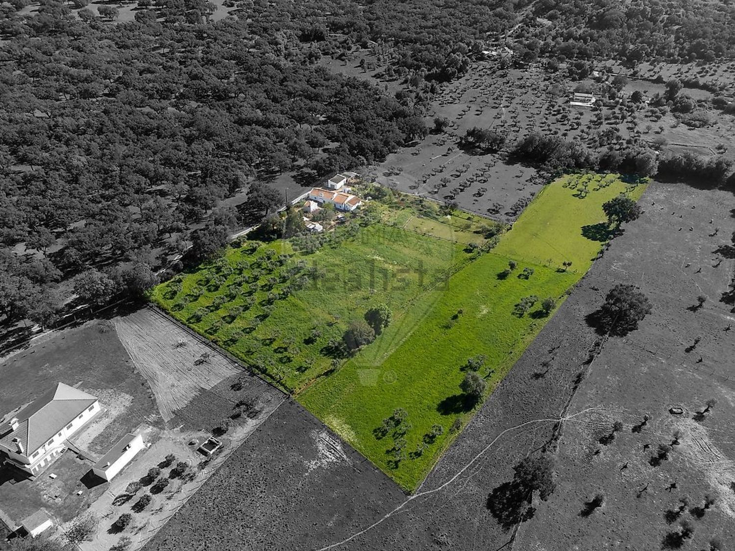 庄园出售在 Fazenda Da Chupeta, 7050-001, Nossa Senhora da Vila, Nossa Senhora do Bispo e Silveiras, Montemor-o-Novo, Évora s/n - 照片