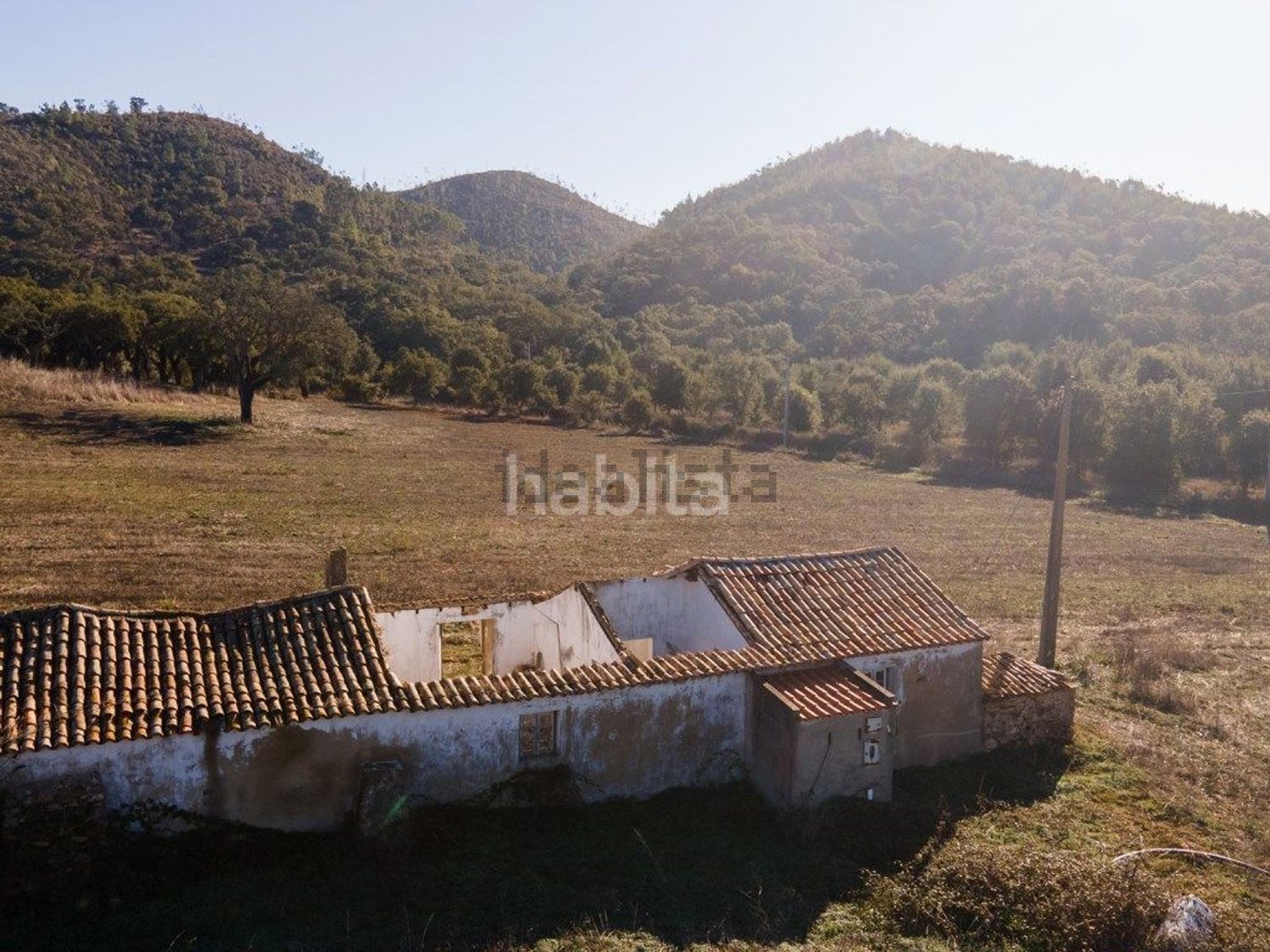 庄园出售在Estrada Sem Nome s/n - 照片