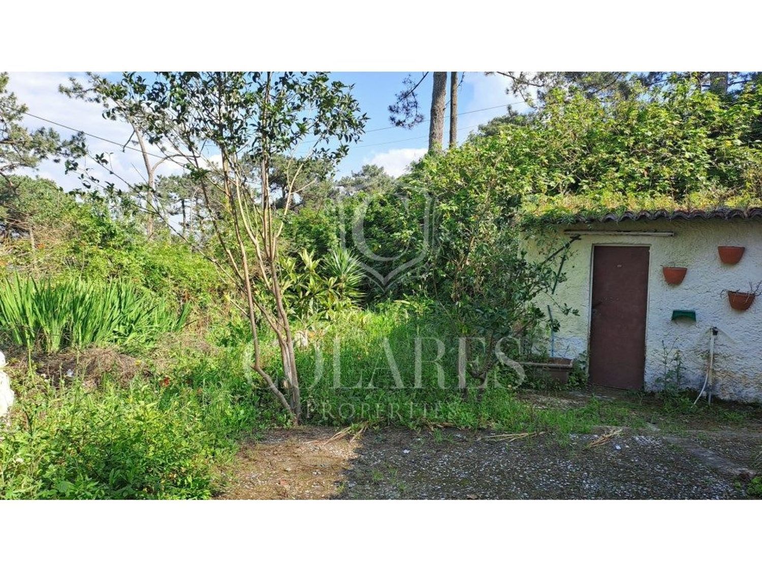 小楼房或独栋别墅出售在 Vila de Colares - Mucifal - 花园