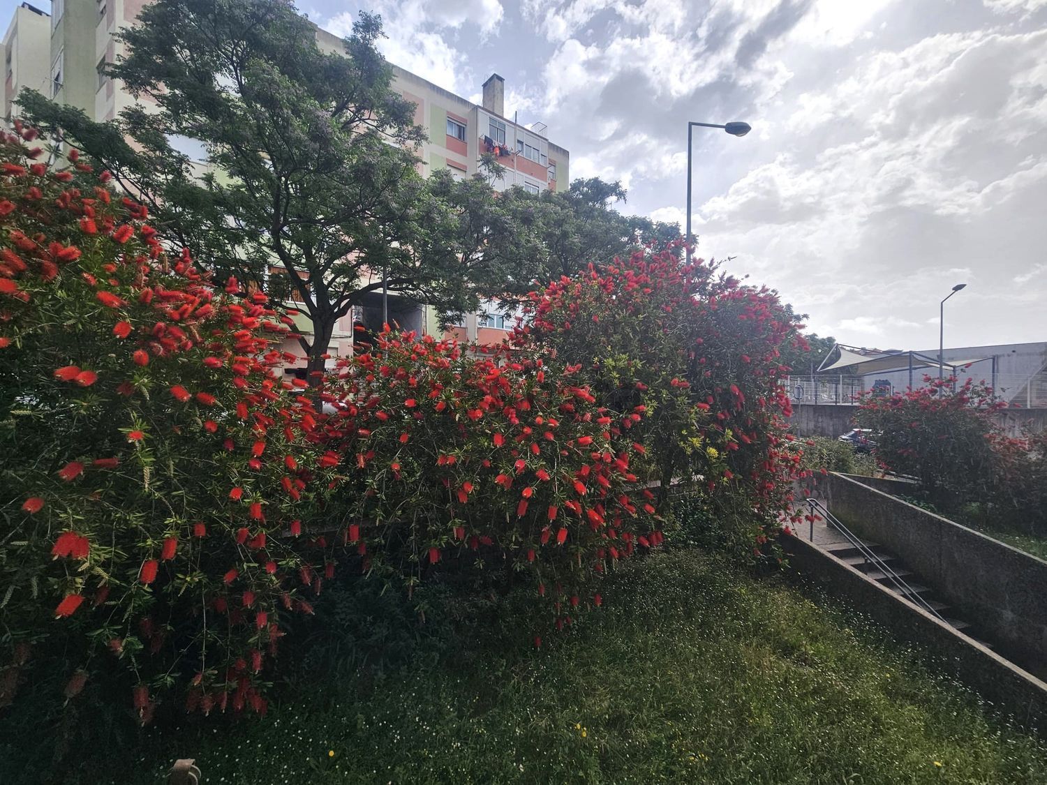 公寓 t3出售在Avenida Comandante Luís António da Silva, 16 - 视线