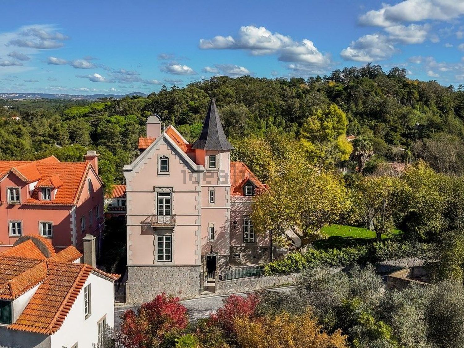 出租宫殿在 Vila de Sintra - Monserrate - 外立面